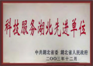 科技服务湖北先进单位